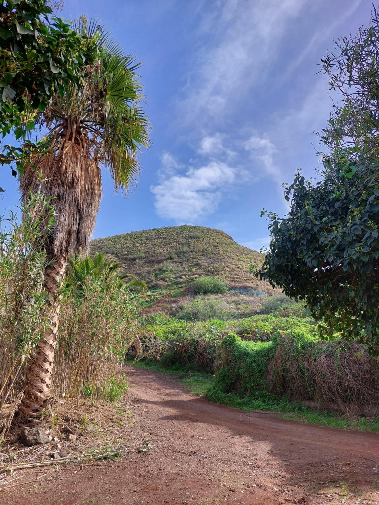 Casa Rural Dona Herminda La Matanza De Acentejo Dış mekan fotoğraf